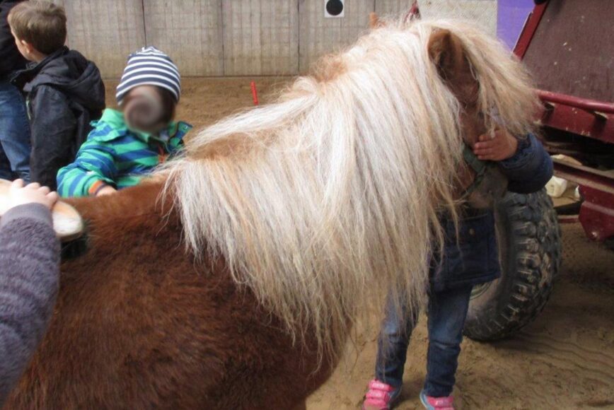 Ponyreiten in der Kita