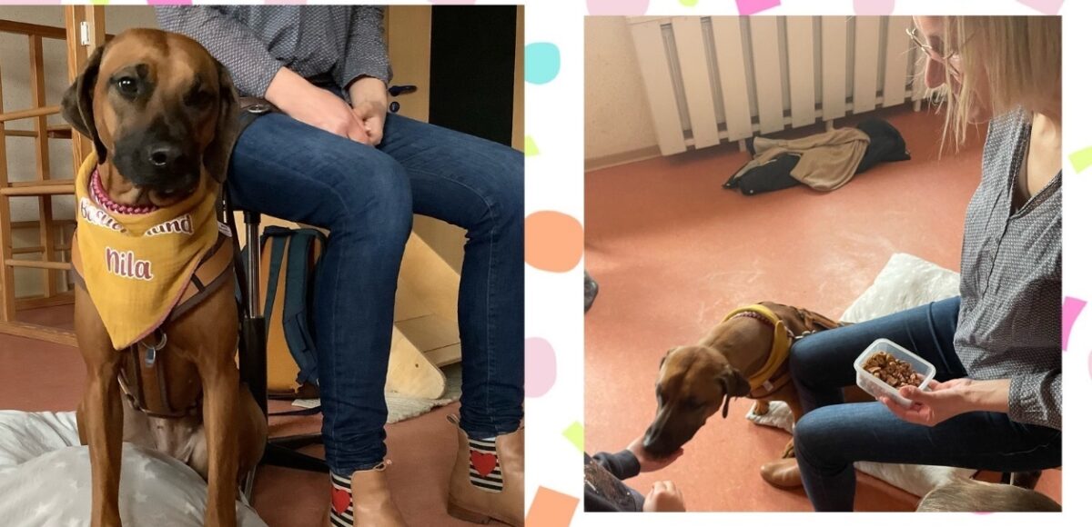Besuch von einem Hund in der Kita