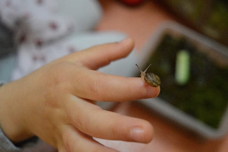 Schneckenbabys in der Kita - Winzige Schnecke auf der Hand eines Kindes